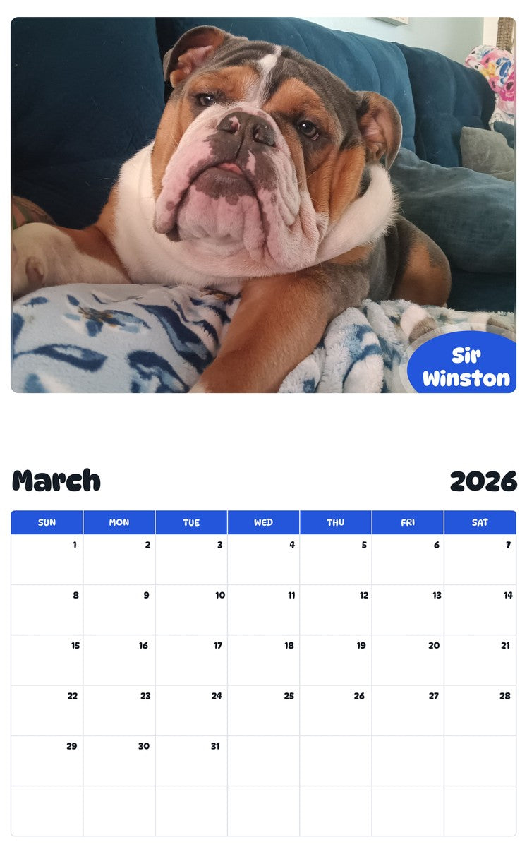 November 2025 - October 2026 Sir Winston - Pawidols Pet Calendar