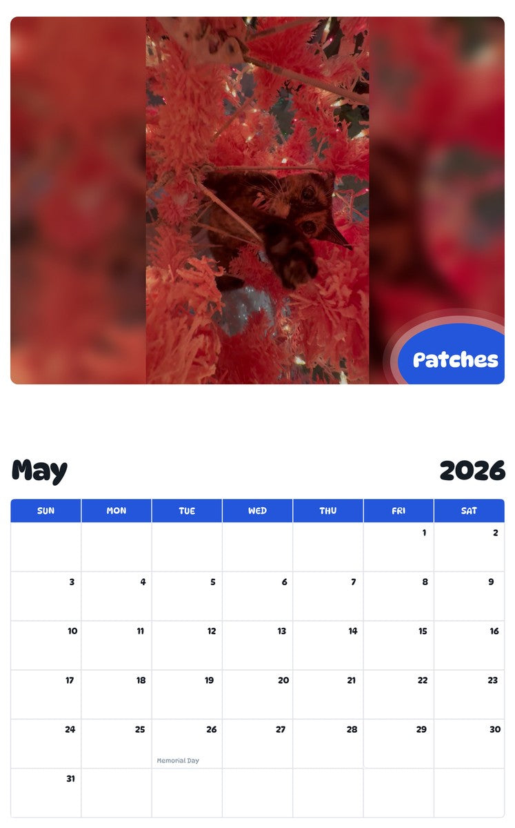 2026 - 2027 Patches - Pawidols Pet Calendar