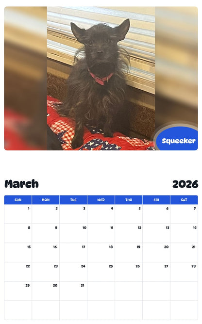 November 2025 - October 2026 Squeeker - Pawidols Pet Calendar