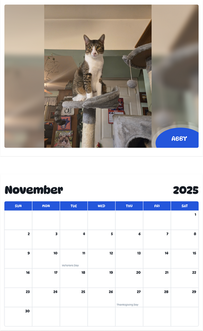 July 2025 - June 2026 Abby - Pawidols Pet Calendar