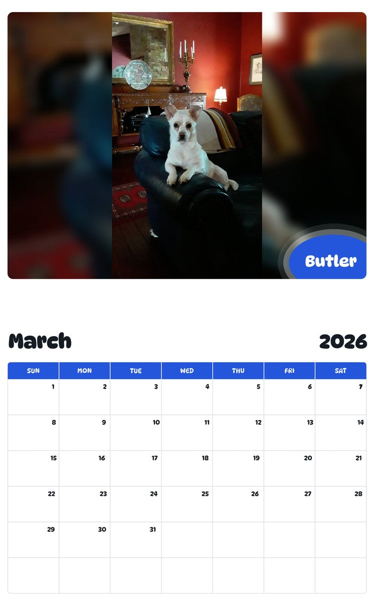 November 2025 - October 2026 Butler - Pawidols Pet Calendar
