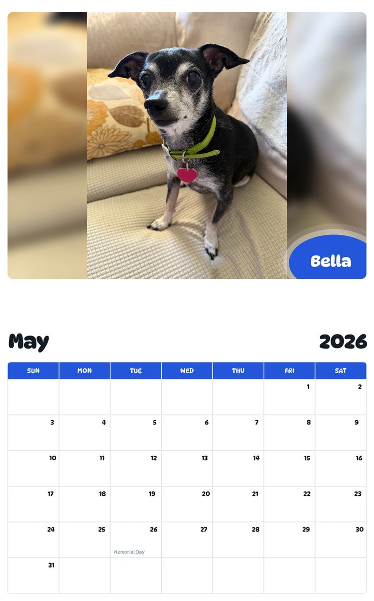 2026 - 2027 Bella - Pawidols Pet Calendar
