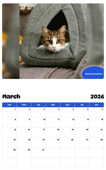 November 2025 - October 2026 Mary jane strawberry - Pawidols Pet Calendar