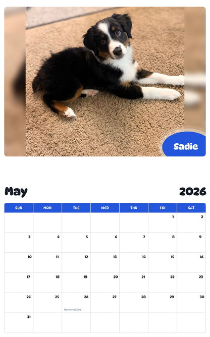 2026 - 2027 Sadie - Pawidols Pet Calendar