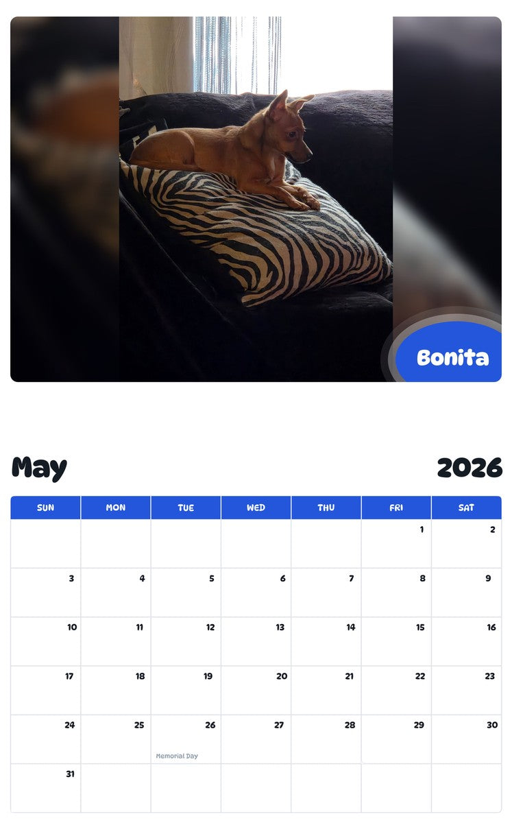 2026 - 2027 Bonita - Pawidols Pet Calendar