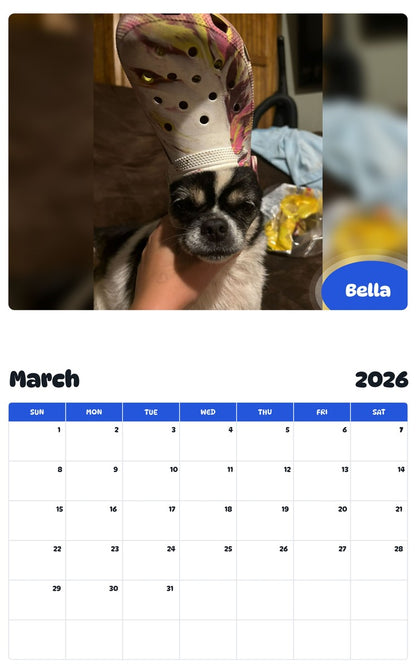 November 2025 - October 2026 Bella - Pawidols Pet Calendar