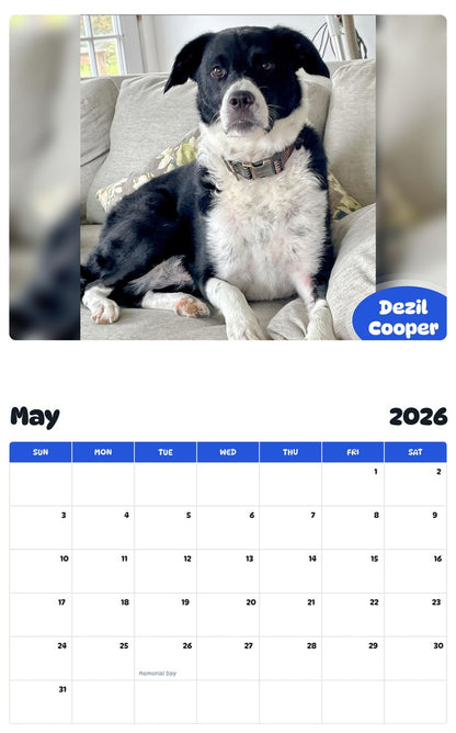 2026 - 2027 Dezil Cooper - Pawidols Pet Calendar