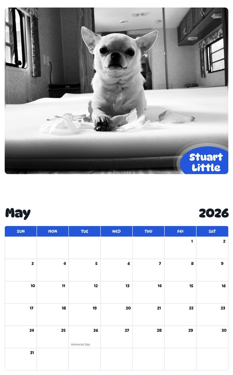 2026 - 2027 Stuart Little - Pawidols Pet Calendar