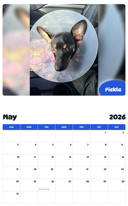 2026 - 2027 Pickle - Pawidols Pet Calendar