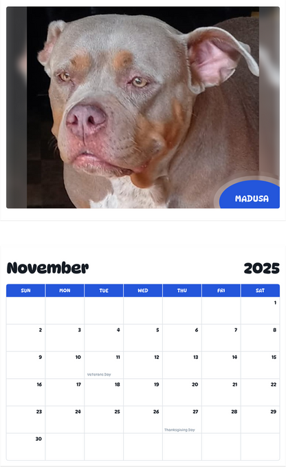 July 2025 - June 2026 Madusa - Pawidols Pet Calendar