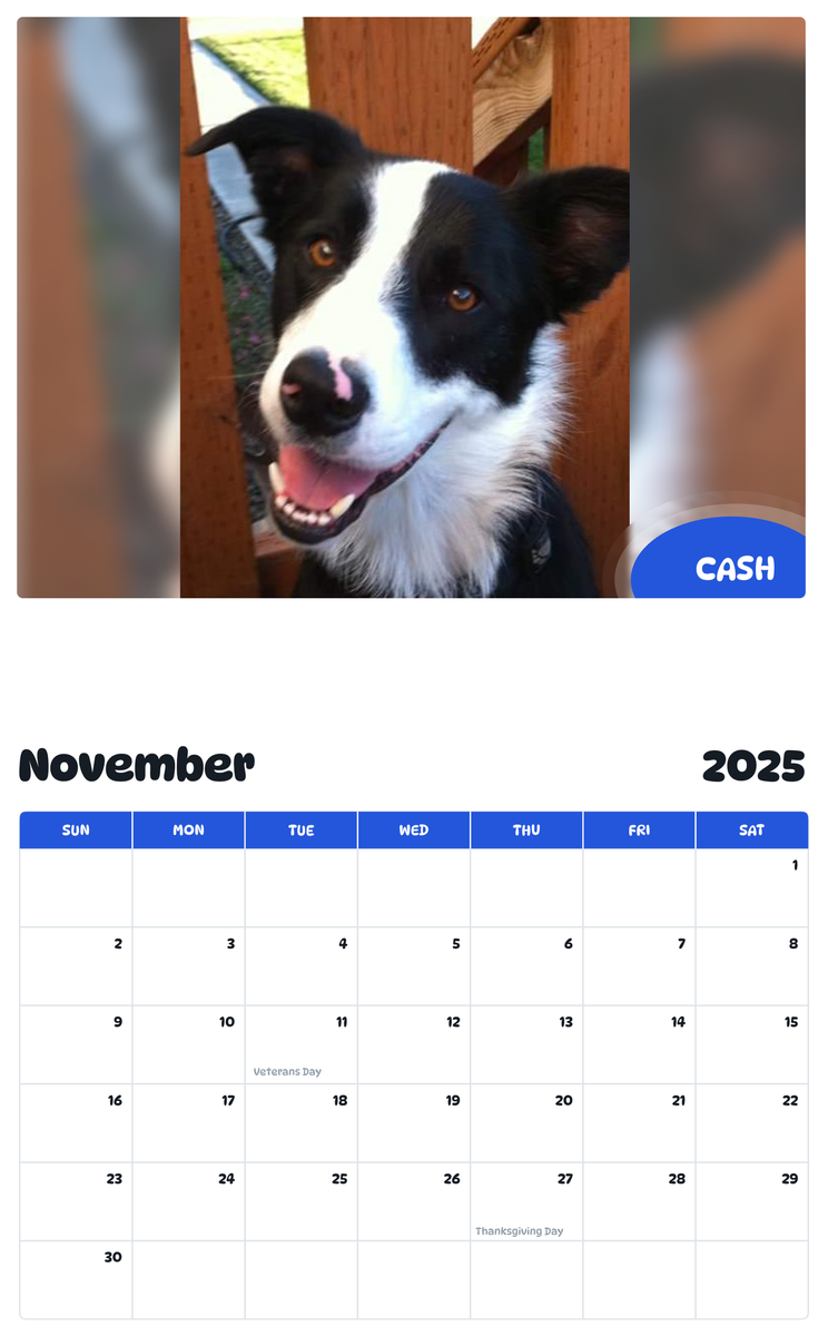 July 2025 - June 2026 Cash - Pawidols Pet Calendar