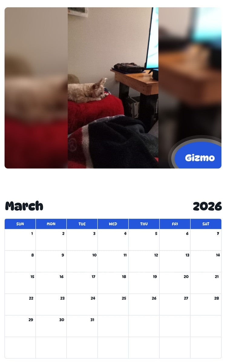 November 2025 - October 2026 Gizmo - Pawidols Pet Calendar