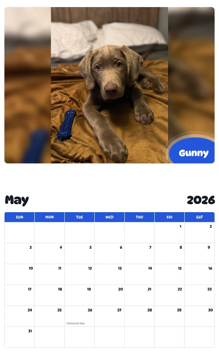 2026 - 2027 Gunny - Pawidols Pet Calendar