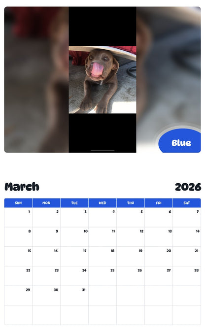 November 2025 - October 2026 Blue - Pawidols Pet Calendar