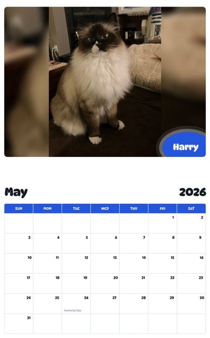 2026 - 2027 Harry - Pawidols Pet Calendar