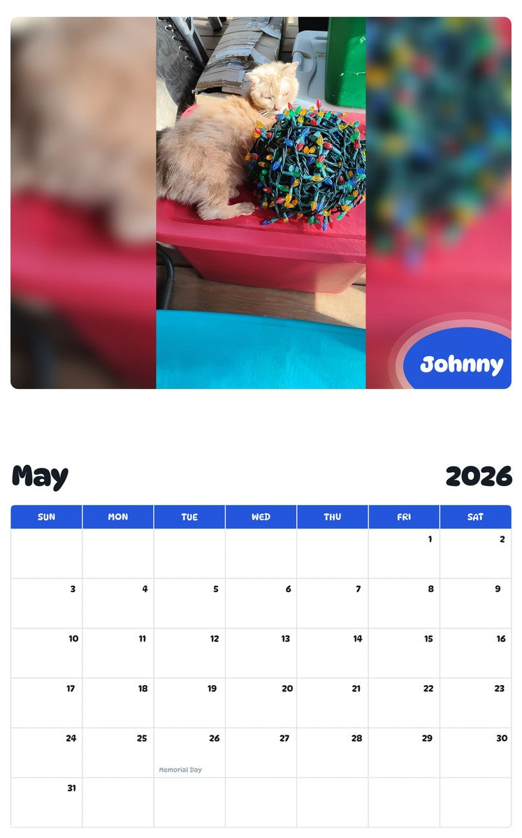 2026 - 2027 Johnny - Pawidols Pet Calendar