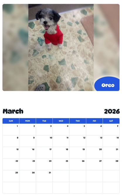November 2025 - October 2026 Oreo - Pawidols Pet Calendar