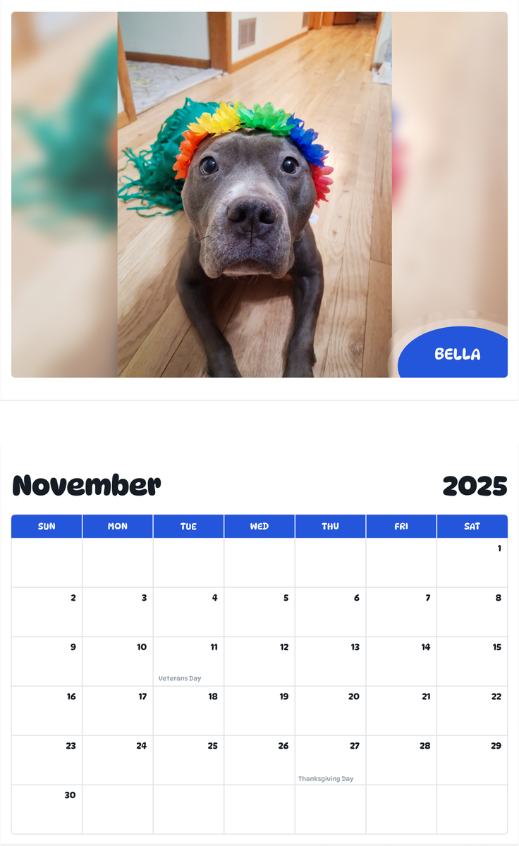 July 2025 - June 2026 Bella - Pawidols Pet Calendar