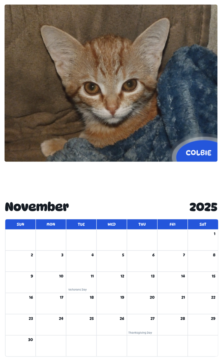 July 2025 - June 2026 Colbie - Pawidols Pet Calendar