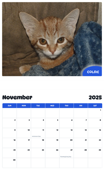 July 2025 - June 2026 Colbie - Pawidols Pet Calendar