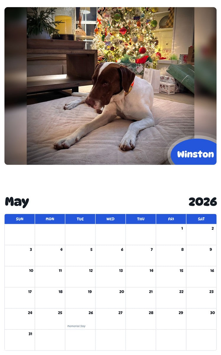 2026 - 2027 Winston - Pawidols Pet Calendar