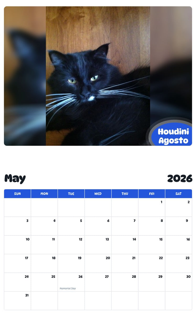 2026 - 2027 Houdini Agosto - Pawidols Pet Calendar
