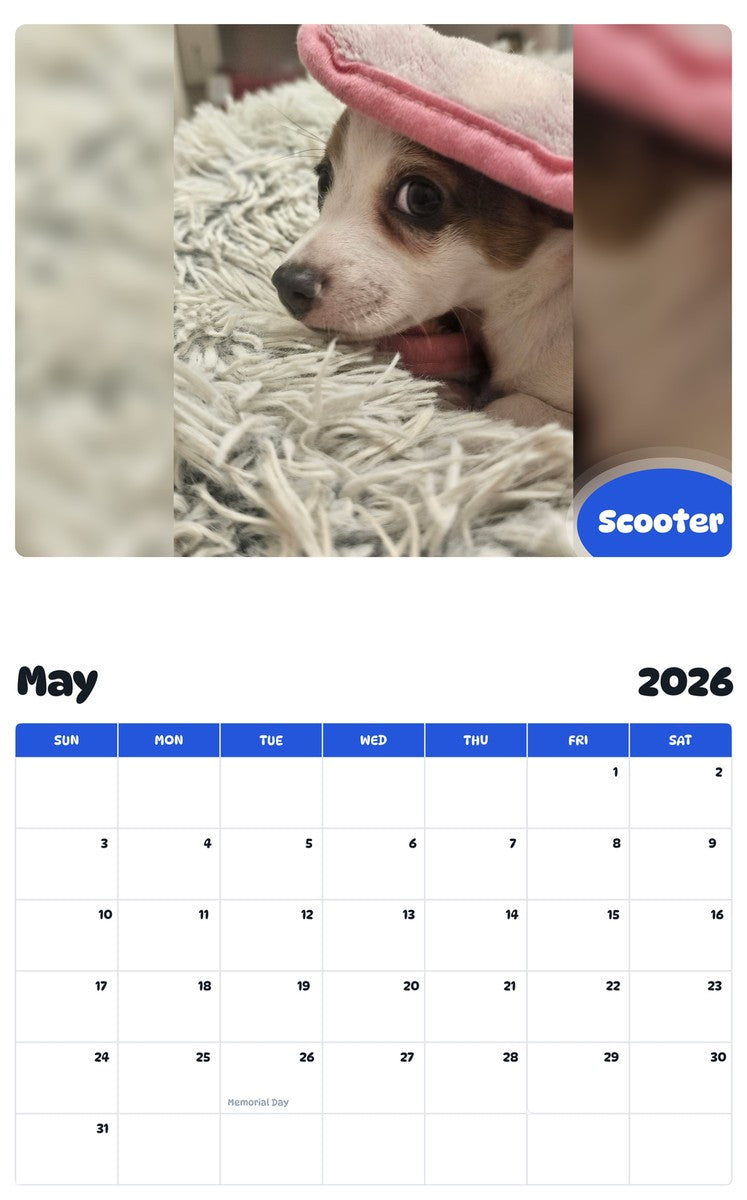 2026 - 2027 Scooter - Pawidols Pet Calendar