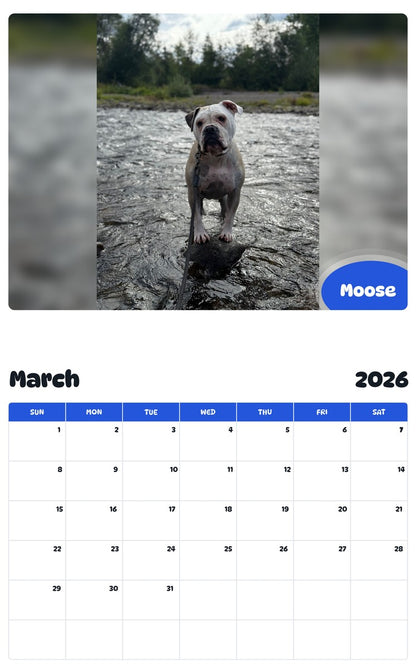 November 2025 - October 2026 Moose - Pawidols Pet Calendar