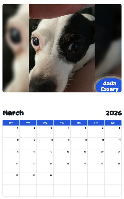 November 2025 - October 2026 Jada Essary - Pawidols Pet Calendar
