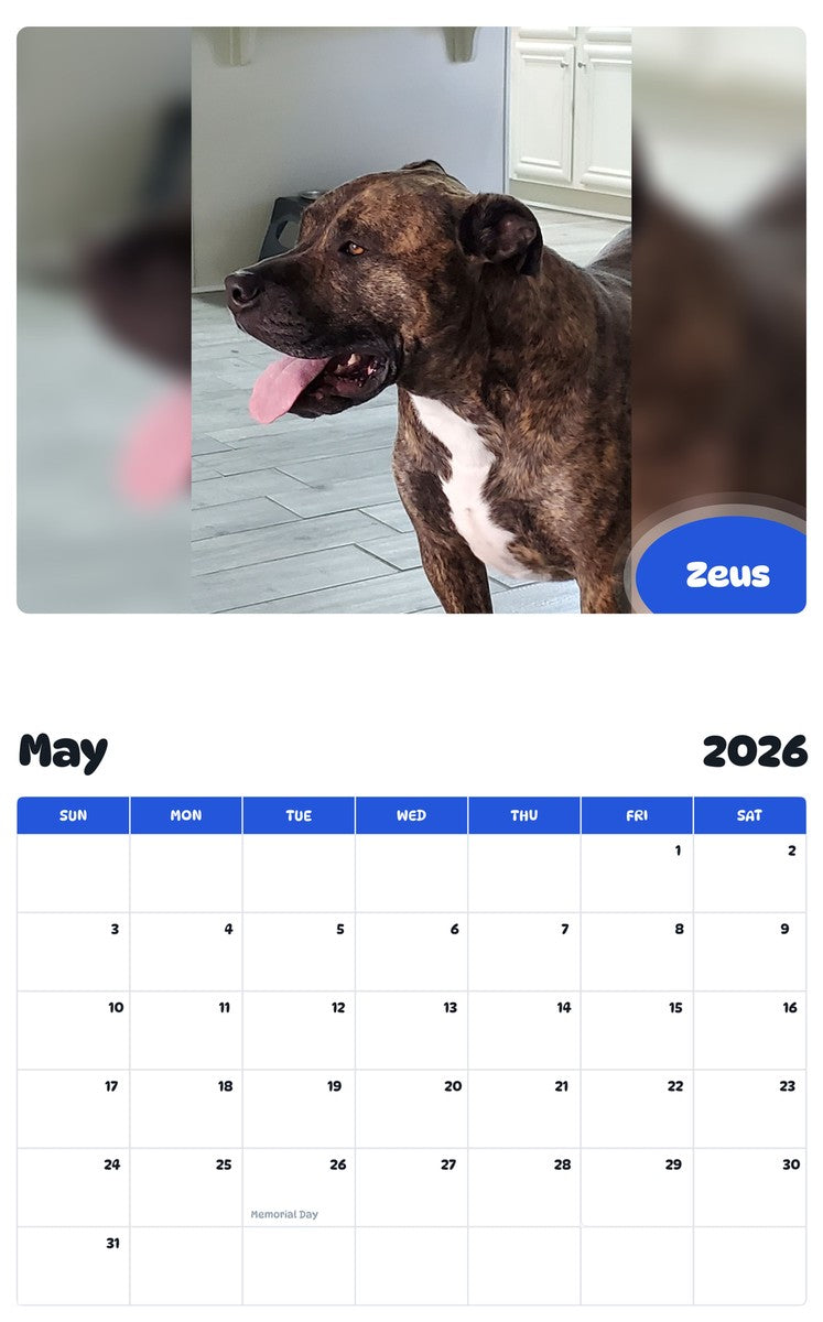 2026 - 2027 Zeus - Pawidols Pet Calendar