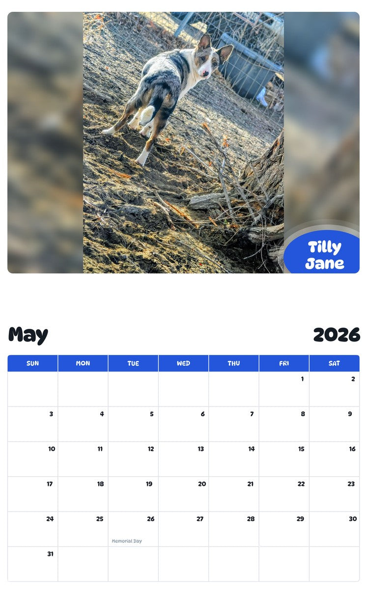 2026 - 2027 Tilly Jane - Pawidols Pet Calendar