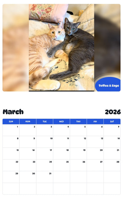 November 2025 - October 2026 Toffee & Sage - Pawidols Pet Calendar