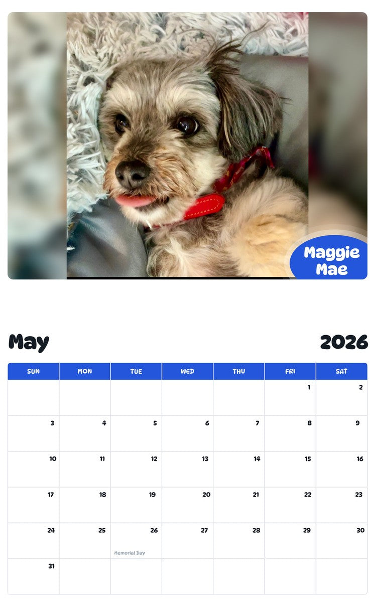2026 - 2027 Maggie Mae - Pawidols Pet Calendar