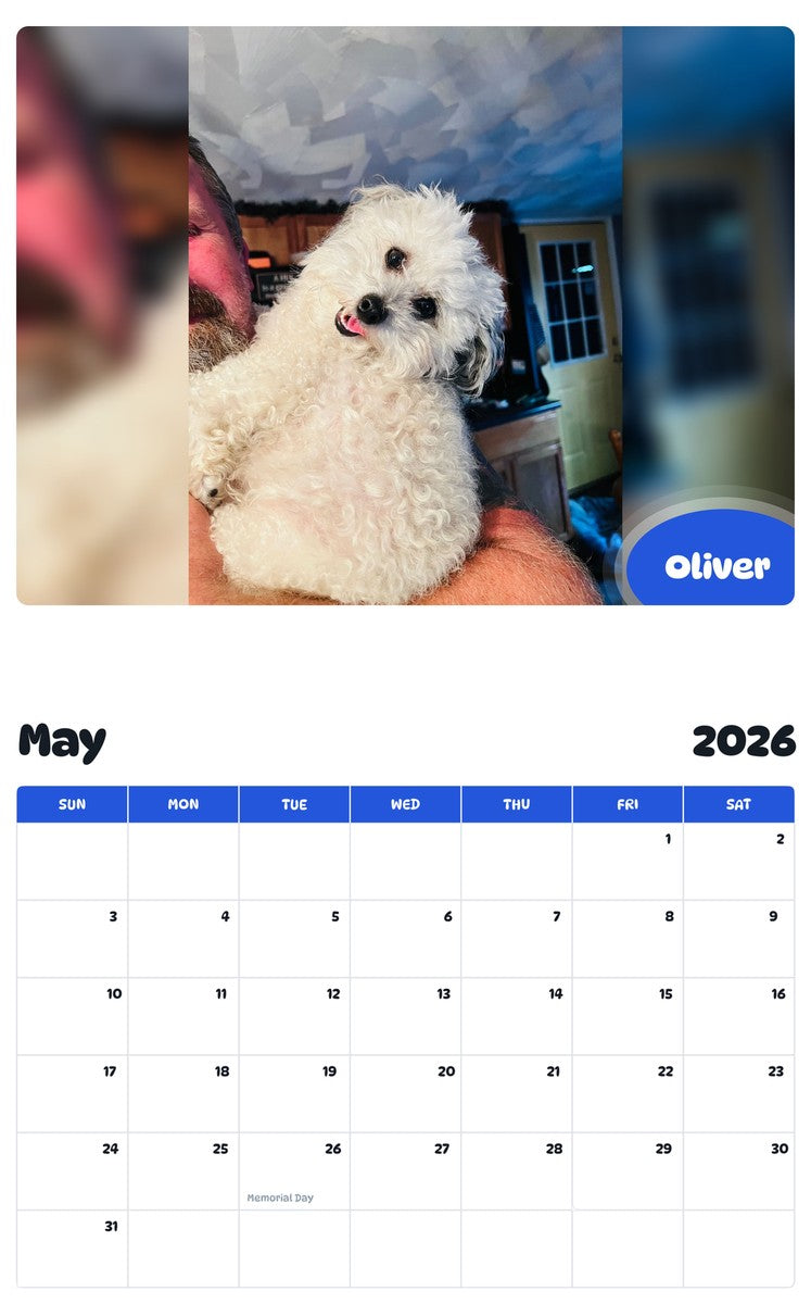 2026 - 2027 Oliver - Pawidols Pet Calendar