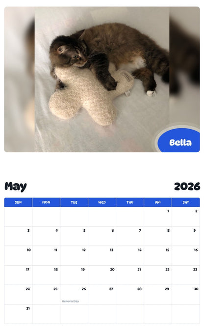 2026 - 2027 Bella - Pawidols Pet Calendar