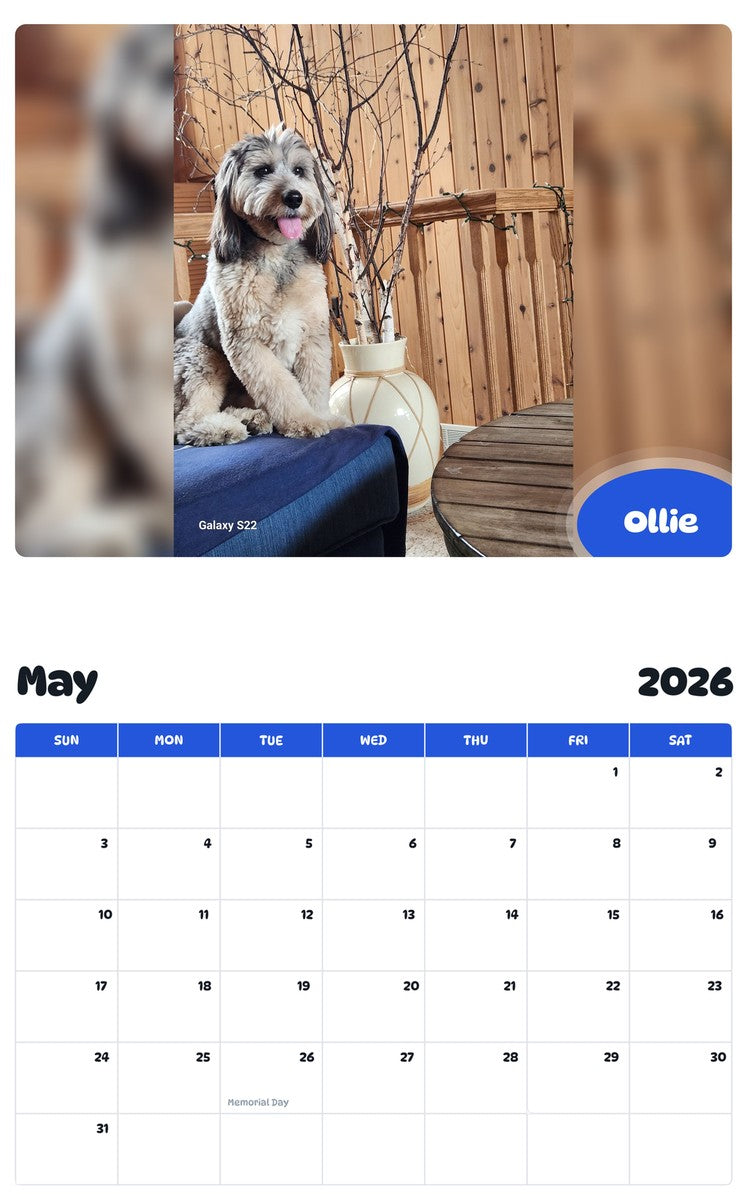 2026 - 2027 Ollie - Pawidols Pet Calendar