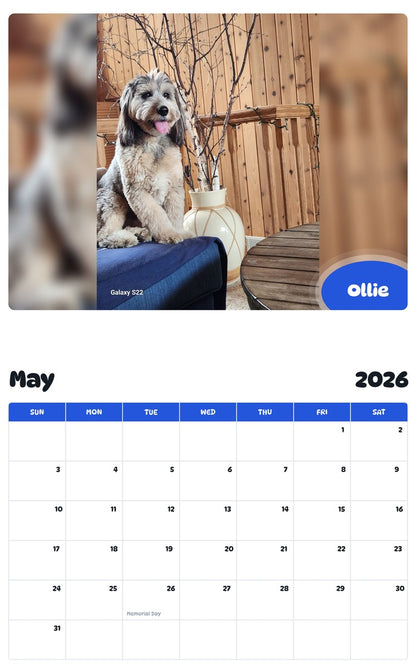 2026 - 2027 Ollie - Pawidols Pet Calendar