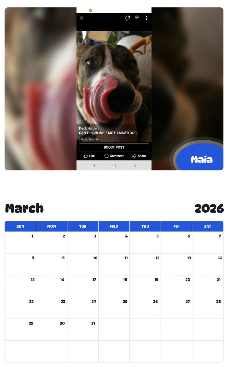 November 2025 - October 2026 Maia - Pawidols Pet Calendar