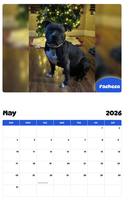 2026 - 2027 Pacheco - Pawidols Pet Calendar