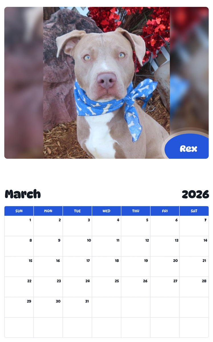 November 2025 - October 2026 Rex - Pawidols Pet Calendar