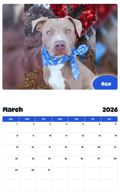 November 2025 - October 2026 Rex - Pawidols Pet Calendar