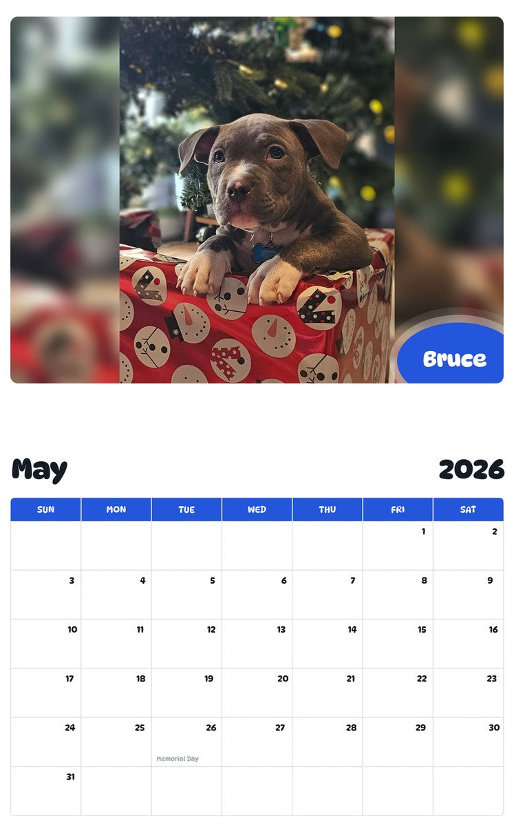 2026 - 2027 Bruce - Pawidols Pet Calendar
