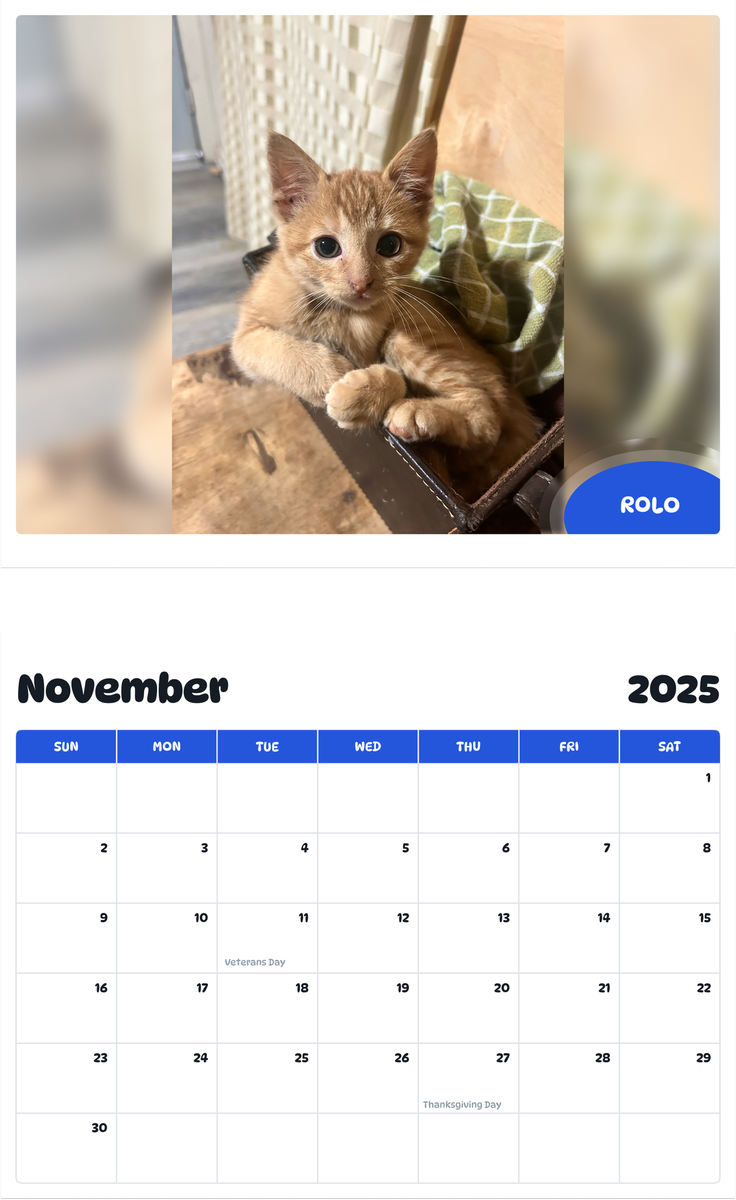 July 2025 - June 2026 Rolo - Pawidols Pet Calendar