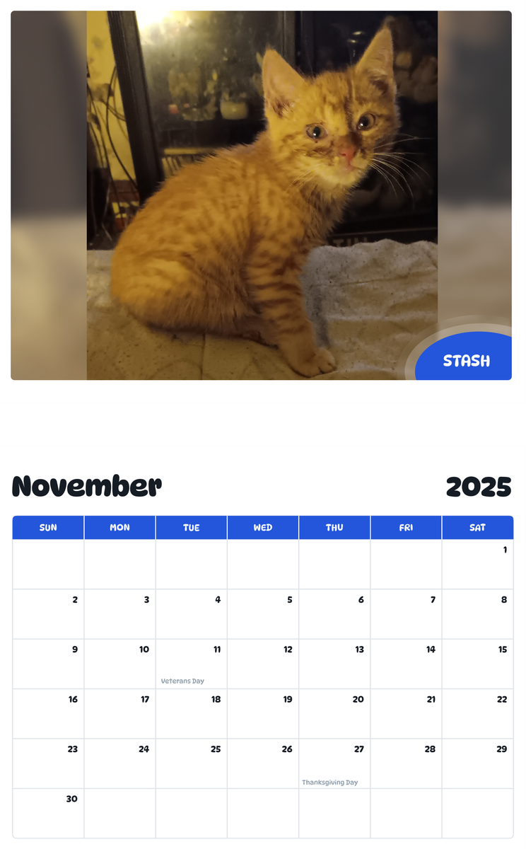 July 2025 - June 2026 Stash - Pawidols Pet Calendar