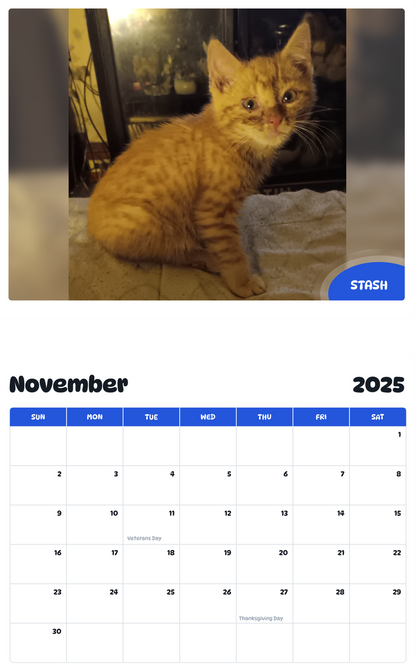 July 2025 - June 2026 Stash - Pawidols Pet Calendar
