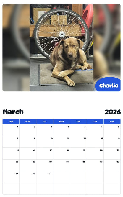 November 2025 - October 2026 Charlie - Pawidols Pet Calendar