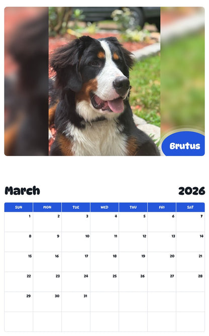 November 2025 - October 2026 Brutus - Pawidols Pet Calendar