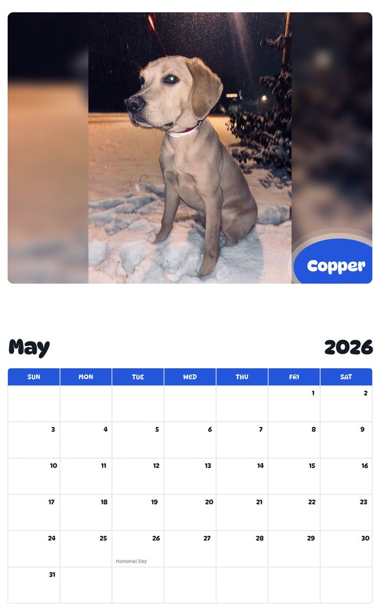 2026 - 2027 Copper - Pawidols Pet Calendar