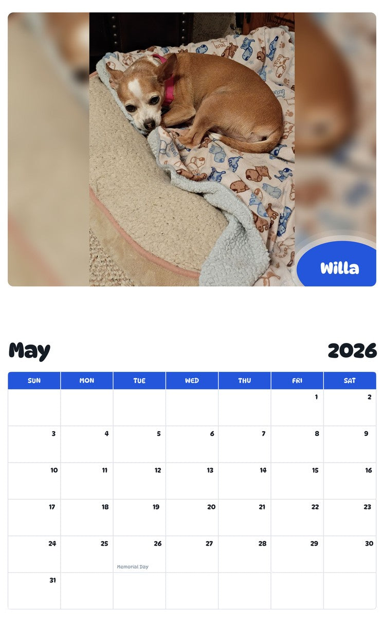 2026 - 2027 Willa - Pawidols Pet Calendar