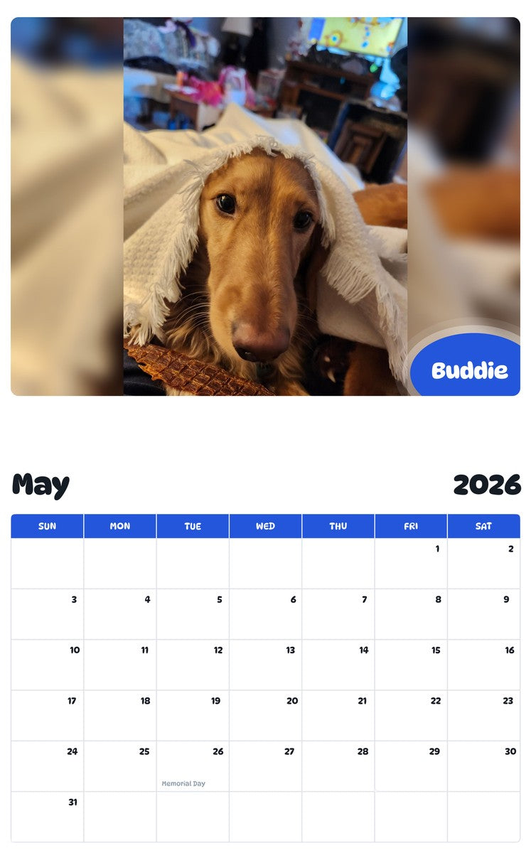 2026 - 2027 Buddie - Pawidols Pet Calendar